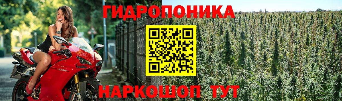 Бошки Шишки индика  Вход с VPN  Бошки Шишки сатива  Конопля семена  МАРИХУАНА сатива  Людиново 